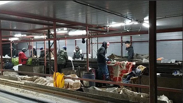 Чем меньше «хвост», тем чище мир